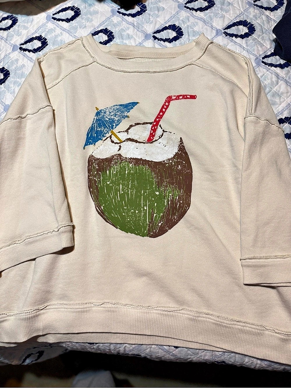 We The Free Graphic Camden Pullover Coconut Graphic Sweatshirt small